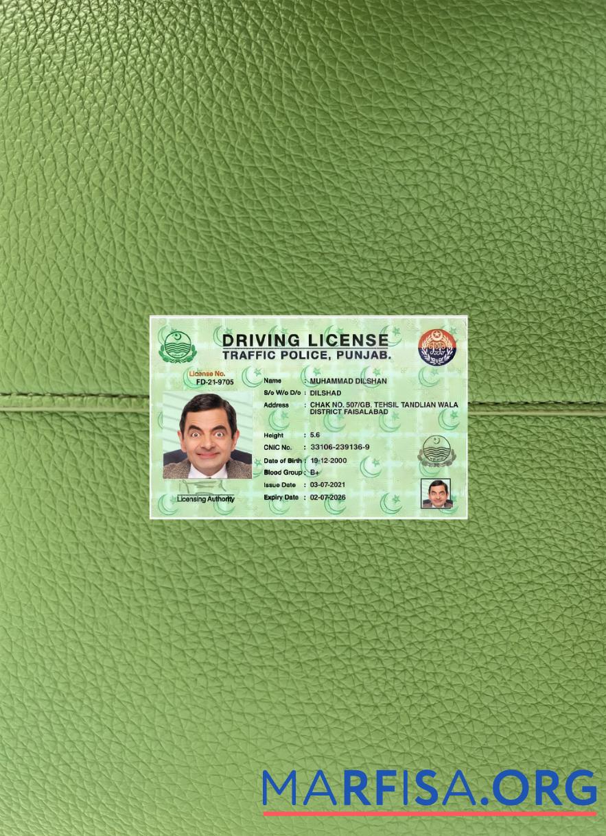 Printable India Punjab driving license 2021 present photolook sample